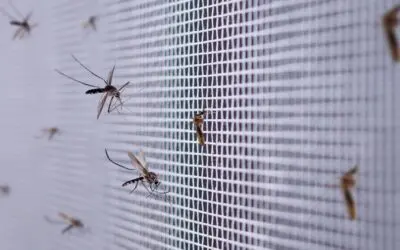 I vantaggi di installare una zanzariera scorrevole per la tua casa