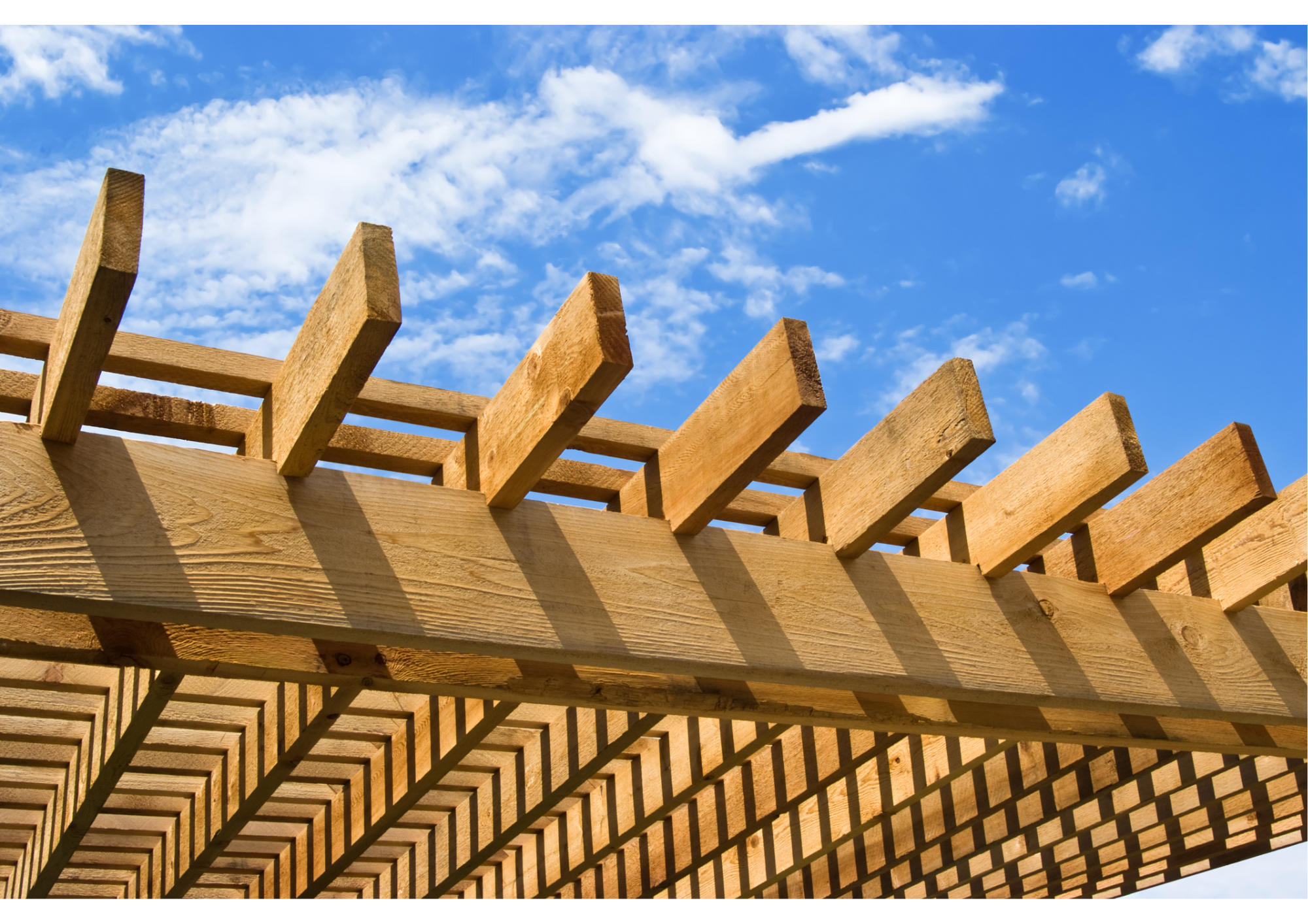 Progetto-senza-titolo